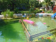 Natural Pool Ideas, Swimming Pool Pond, Swimming Ponds, Sport Ideas, Natural Swimming Ponds, Outdoor Ponds, Pool Pond, Stock Tank Pool, Pond Water Features