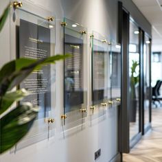 an office hallway with glass walls and plants