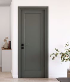 an empty room with a gray door and potted plant on the floor next to it