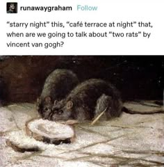 A Rat, Wow Art, Art Appreciation, Classical Art, Art Memes, Pics Art, Tumblr Posts, Vincent Van Gogh, Artsy Fartsy