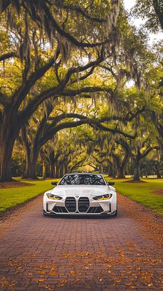 a white car is parked in front of some trees