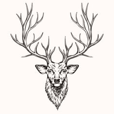 a deer's head with antlers drawn in black ink on a white background