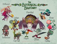 an image of the botanical bestiary with many different animals and plants on it's back