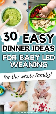 the top ten easy dinner ideas for baby led weaning, including dips and veggies