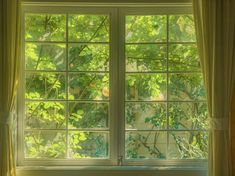 an open window with green leaves on the outside and light coming in from behind it