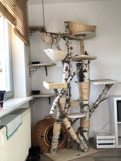 the cat tree is made out of branches