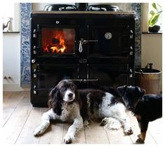 two dogs laying on the floor in front of an oven