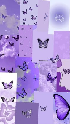 purple butterflies flying in the sky and clouds