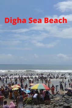 a large group of people standing on top of a sandy beach next to the ocean