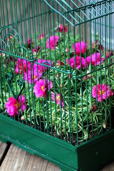 pink flowers in a green birdcage on a wooden table