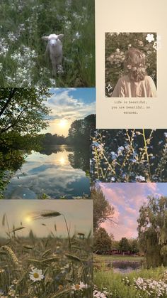 a collage of pictures with animals and trees