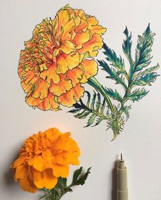 an orange and yellow flower sitting on top of a white table next to a marker