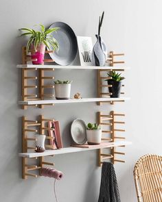 a shelf with some plants and plates on it