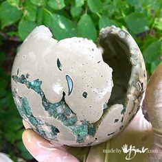 a hand holding a broken egg shell in it's palm next to some plants