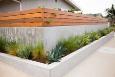 a concrete planter filled with lots of plants next to a wooden fence on the side of a house