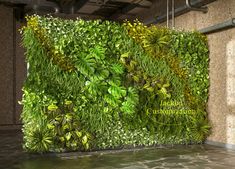 a green wall in an office building with plants growing on the walls and below it