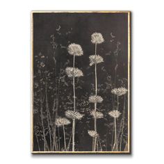 a black and white photo with dandelions in the foreground, against a dark background