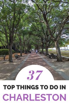 the top things to do in charleston, south carolina