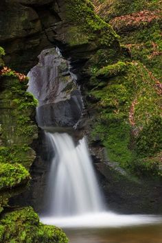 a small waterfall in the middle of a forest with moss growing on it's sides