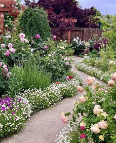 a garden filled with lots of different types of flowers