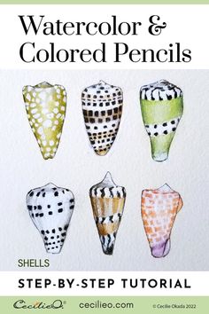 watercolor and colored pencils shells step by step guide for beginners to paint