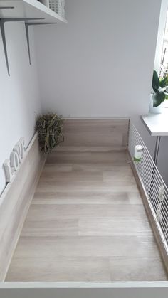 an empty room with white walls and wood flooring is pictured in this image, there are plants on the shelves