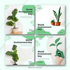 four different banners with plants in pots and the words world environment day written on them