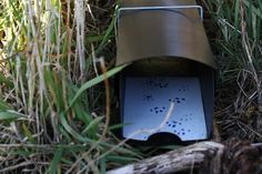 an empty mailbox sitting in the grass