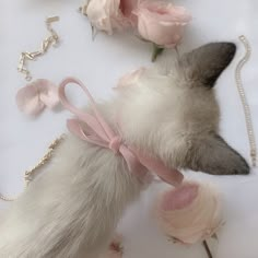 a cat laying on top of a white table next to flowers and a chain necklace