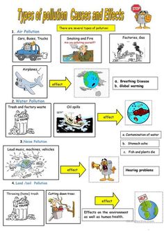 the types of pollution and effects worksheet for kids to learn how to use them