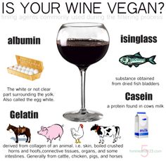 a wine glass filled with red wine and other things to know about the wines that are in it