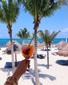 a person holding up a drink in front of palm trees on the beach with blue water