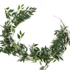 a wreath made out of green leaves on a white background