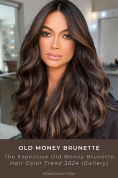 The Expensive Old Money Brunette (Gallery) | Rich Brunette Hair Color Trend 2024 | Expensive Brown Hair Aesthetic Inspo | Light brown hair | dark brown hair Waves With Curtain Bangs, Old Money Fashion Aesthetic, California Brunette, Highlights And Balayage, Expensive Brunette, Brunette Hair Color With Highlights, Old Money Brunette, Brown Hair Trends, Rich Brown Hair