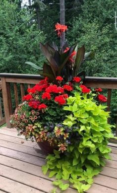 a planter filled with red flowers on top of a wooden deck next to trees