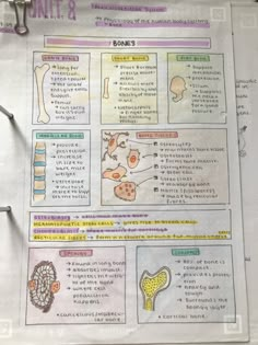 a paper with an image of different types of human body parts on it and instructions for each part