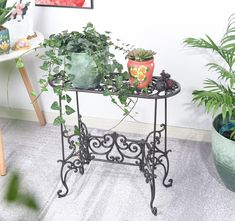 there are many potted plants on the small table in the room with pictures above them