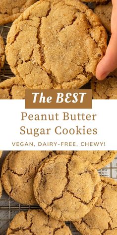 the best peanut butter sugar cookies are made with vegan, dairy - free, and cheesy