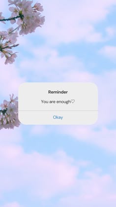 the text message reads reminder you are enough to say okay on an overcast day