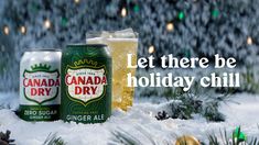 two cans of canada dry beer sitting in the snow next to christmas decorations and lights