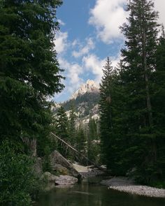 a river running through a forest filled with lots of trees and snow covered mountains in the distance