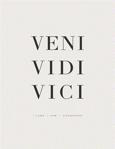 the words are in black and white on a light gray background that says, veni vidi vicci