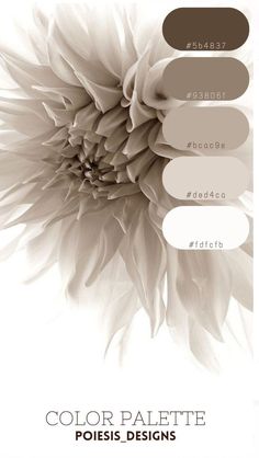 an image of a white flower with brown and beige colors in the center, along with text that reads color palette poiseis - designs