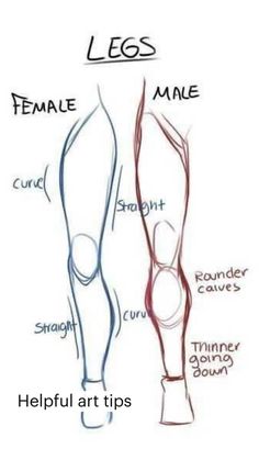 the legs and ankles are shown in this drawing technique, which shows how to draw legs with