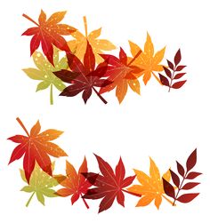 two different colored leaves on a white background