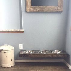 a dog bowl on a wooden table in the corner of a room with blue walls