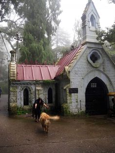 two people walking in front of an old church with a dog on the street next to it