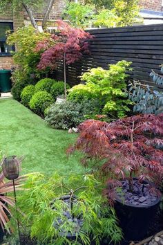 a garden with lots of green grass and trees