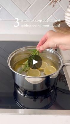 a person is adding lemons to a pot on the stove