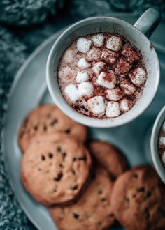 hot chocolate and marshmallows in two mugs next to cookies on a plate